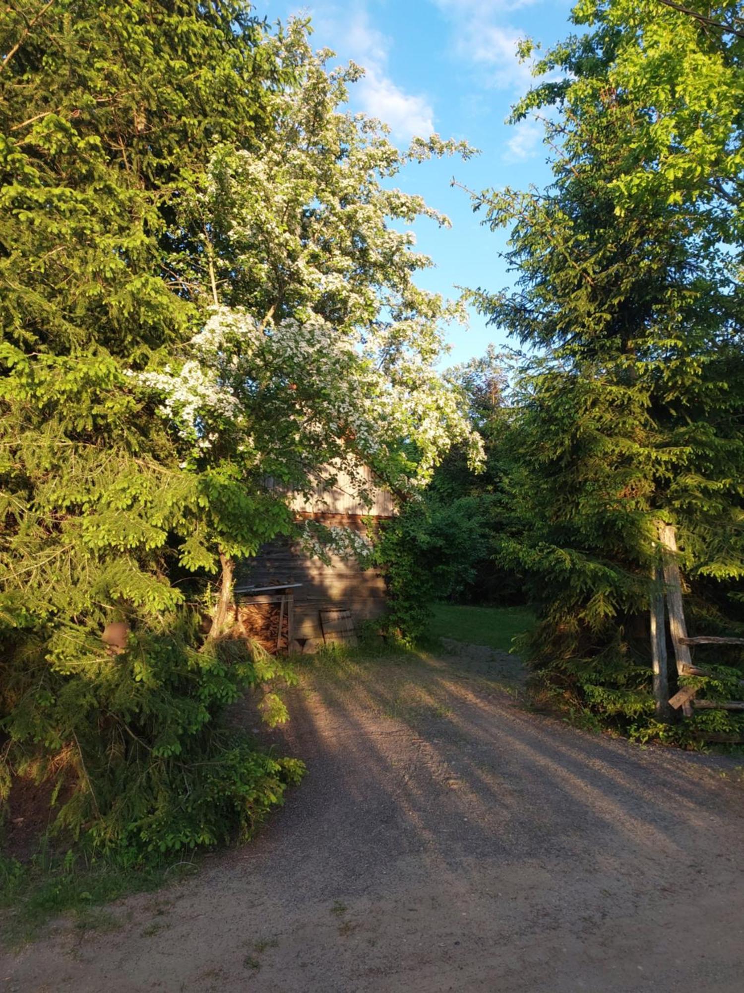 Domek Gajowy Białowieża Exterior foto